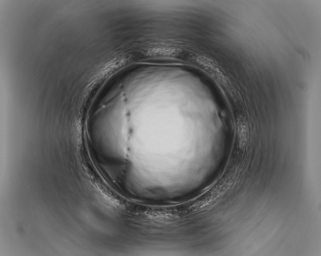 X0000112370729200908271318