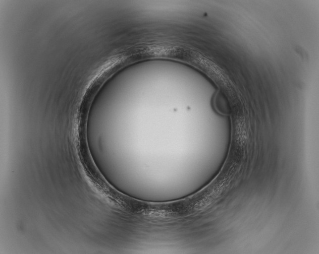 X0000112370730200908271318