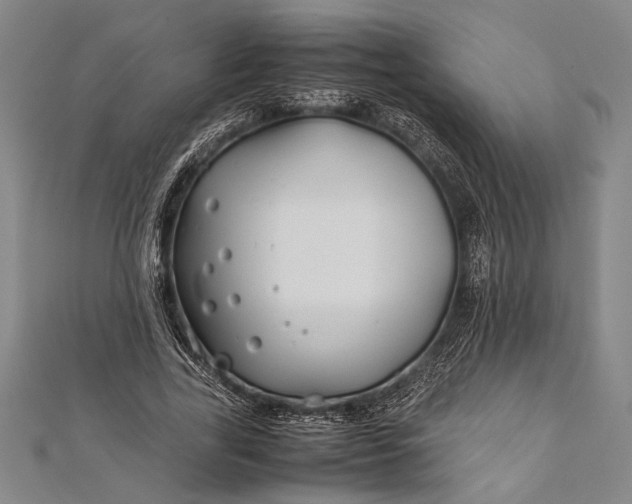 X0000112370731200908271318