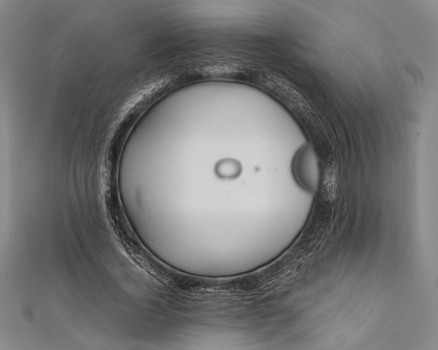 X0000112370732200908271318