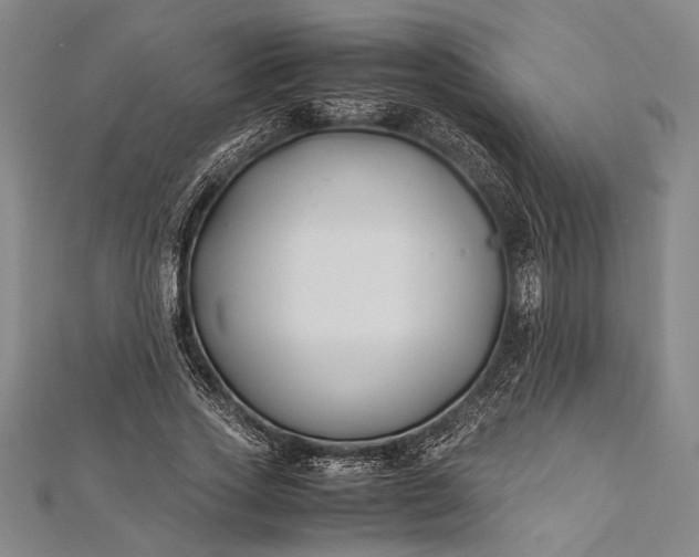 X0000112370733200908271318