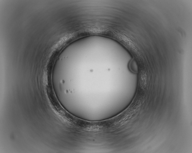 X0000112370734200908271318