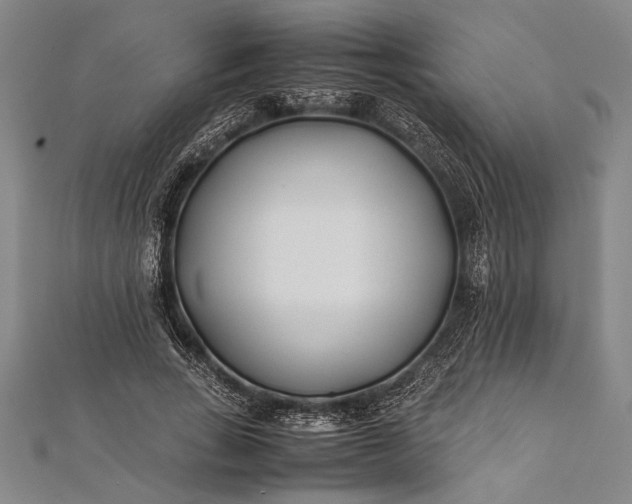 X0000112370735200908271318