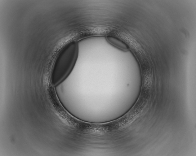 X0000112370736200908271318