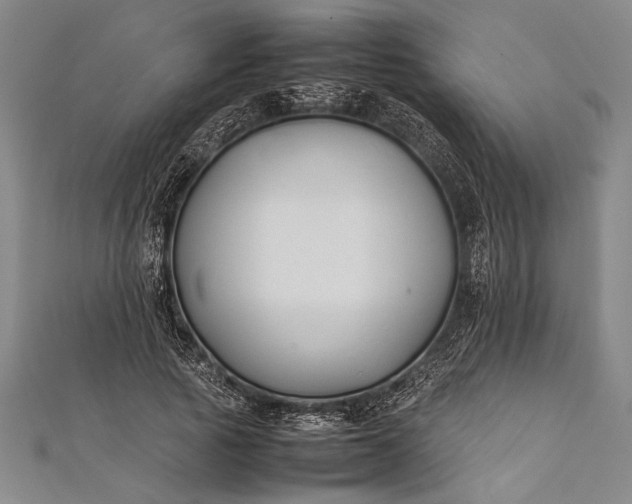 X0000112370737200908271318