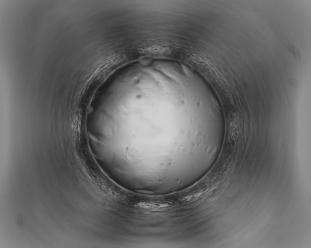 X0000112370739200908271318