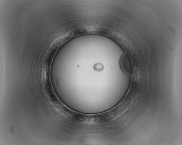 X0000112370740200908271318