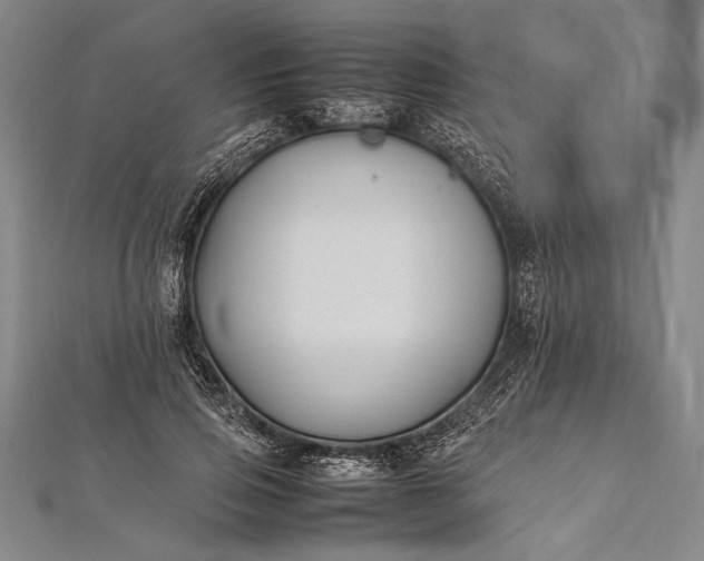 X0000112370741200908271318