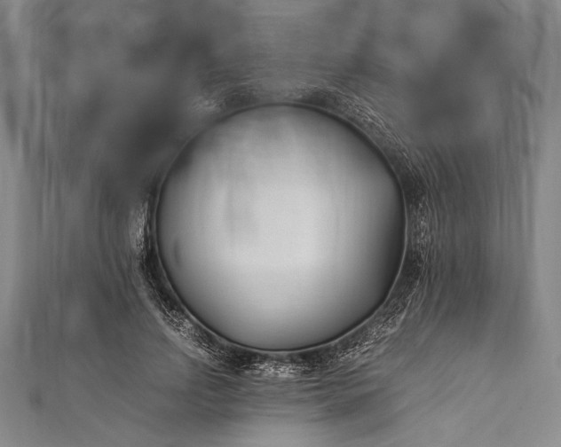 X0000112370742200908271318