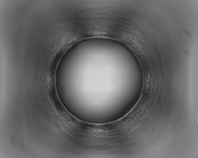 X0000112370743200908271318