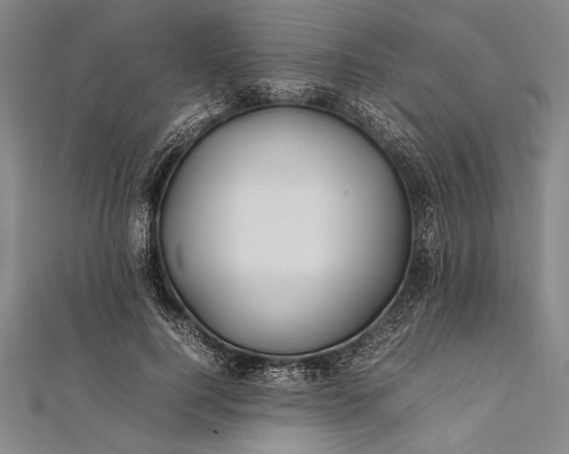 X0000112370744200908271318