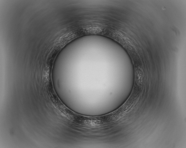 X0000112370745200908271318