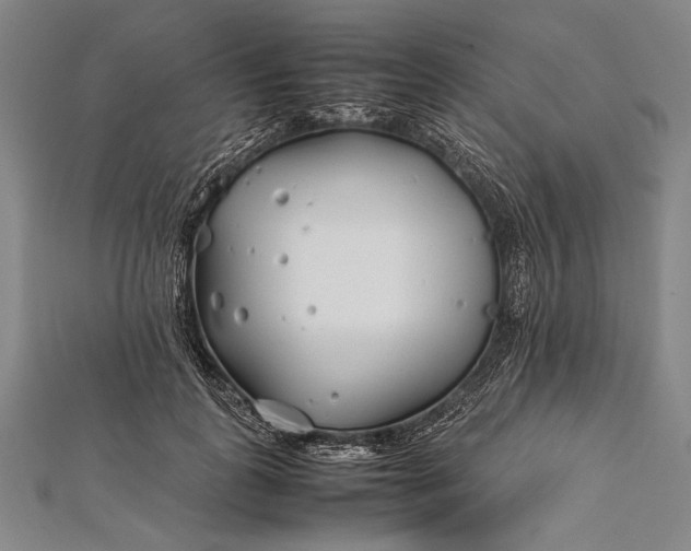 X0000112370747200908271318