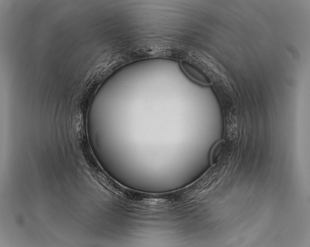 X0000112370748200908271318