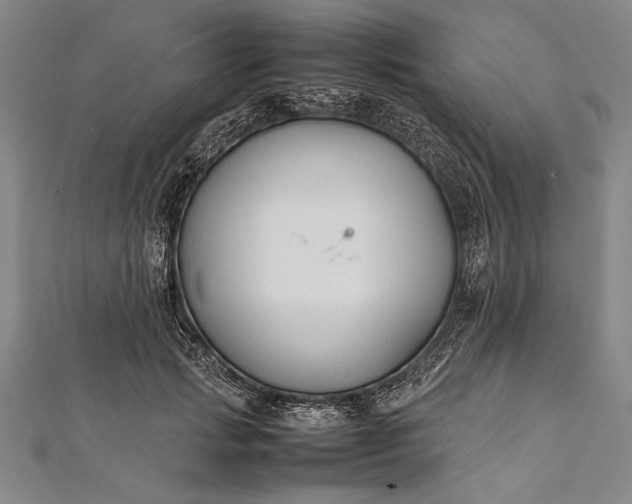 X0000112370749200908271318