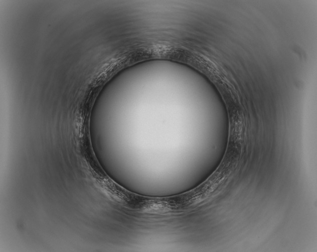 X0000112370750200908271318