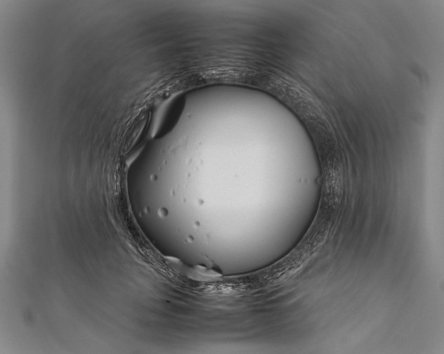 X0000112370751200908271318