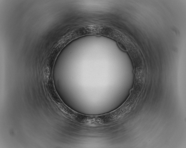 X0000112370752200908271318