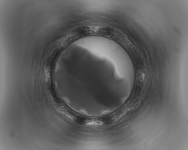 X0000112370754200908271318