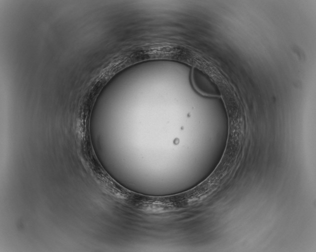 X0000112370755200908271318