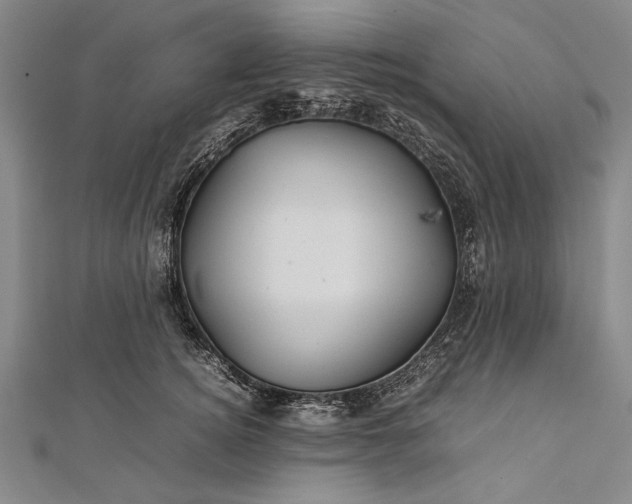 X0000112370756200908271318