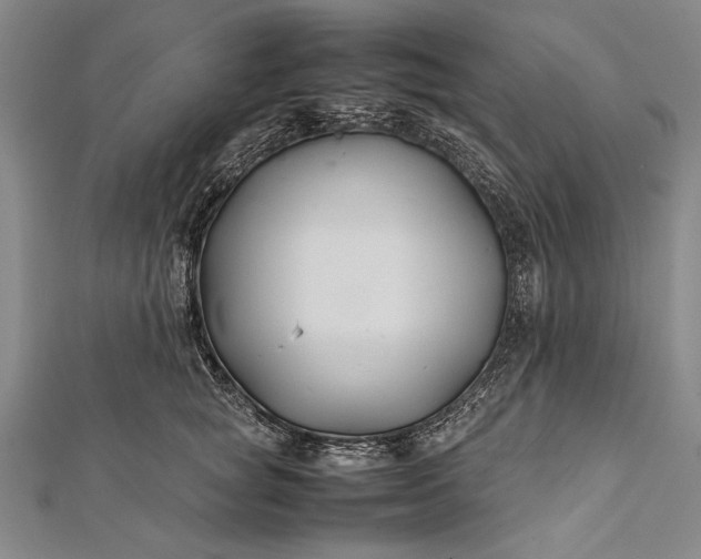 X0000112370757200908271318