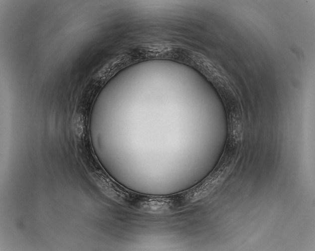 X0000112370758200908271318