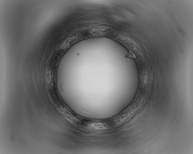 X0000112370759200908271318