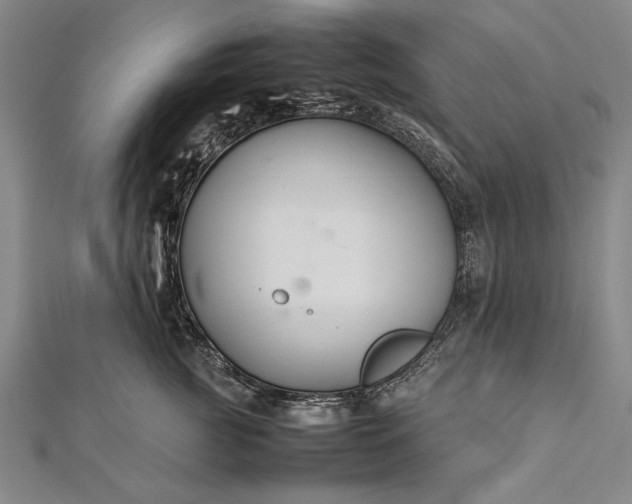 X0000112370761200908271318