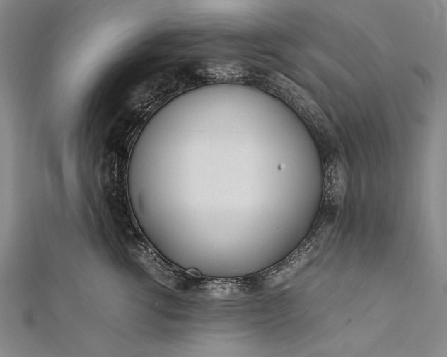 X0000112370762200908271318