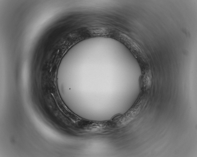 X0000112370764200908271318