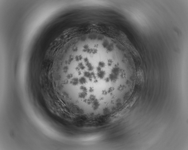 X0000112370765200908271318