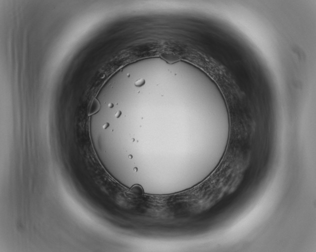 X0000112370766200908271318