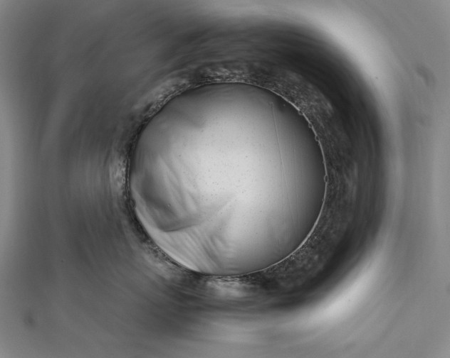 X0000112370767200908271318