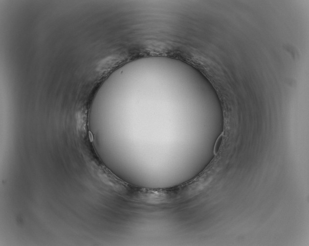 X0000112370768200908271318