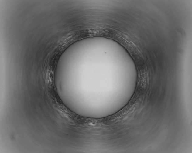 X0000112370770200908271318