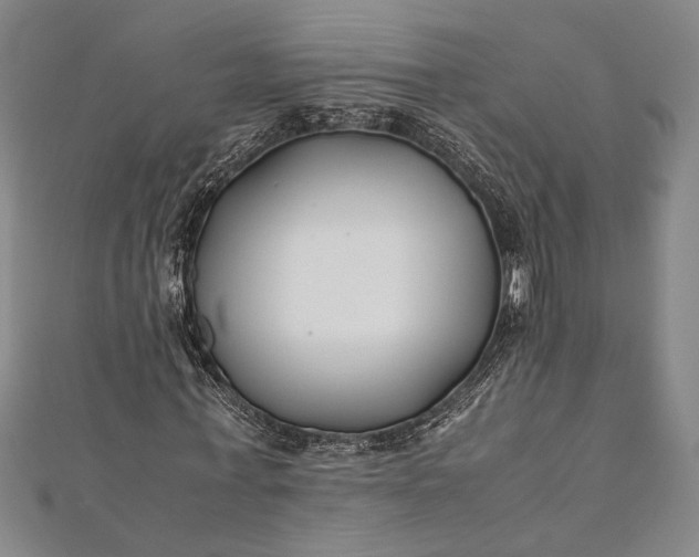 X0000112370771200908271317