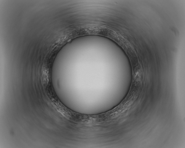 X0000112370772200908271317