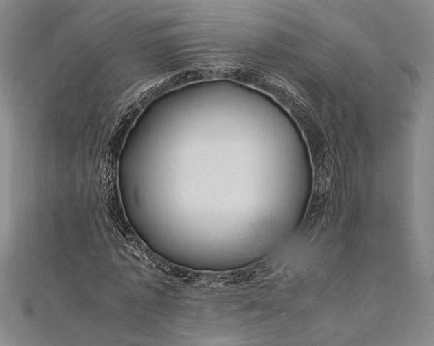 X0000112370773200908271317