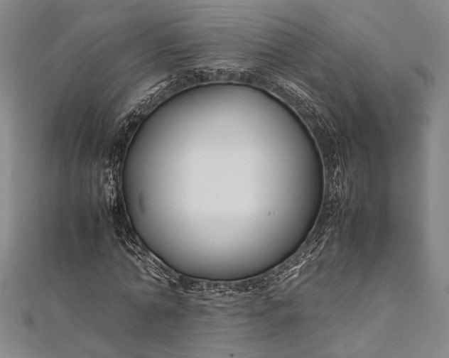 X0000112370774200908271317