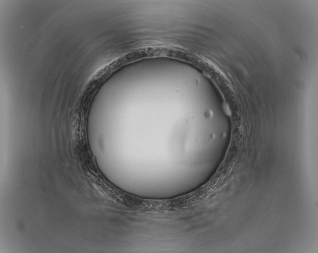 X0000112370775200908271317