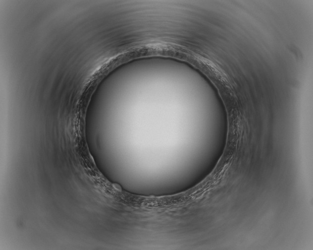 X0000112370776200908271317