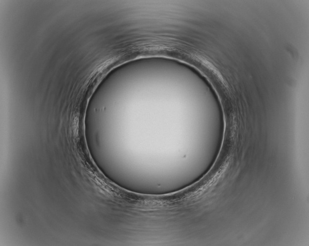 X0000112370777200908271317