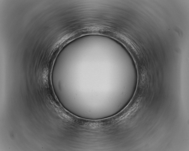 X0000112370778200908271317