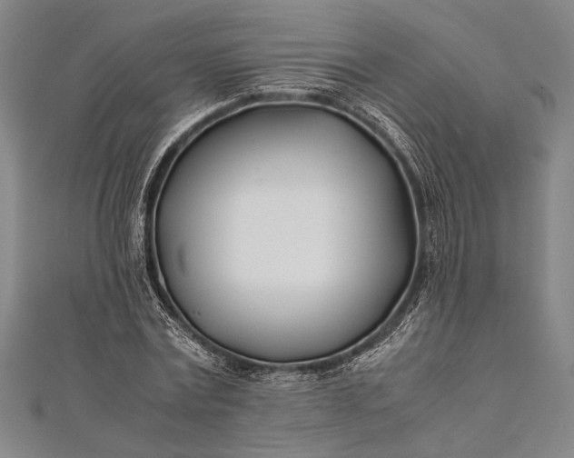 X0000112370779200908271317