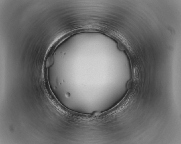 X0000112370780200908271317