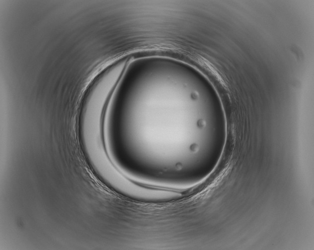 X0000112370781200908271317