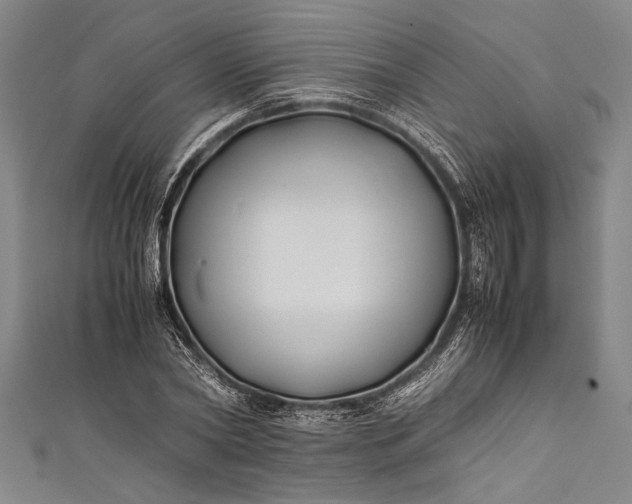 X0000112370782200908271317