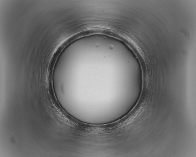 X0000112370783200908271317