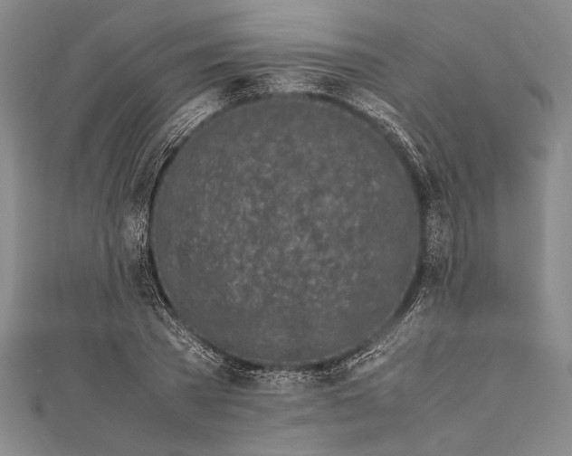 X0000112370785200908271317